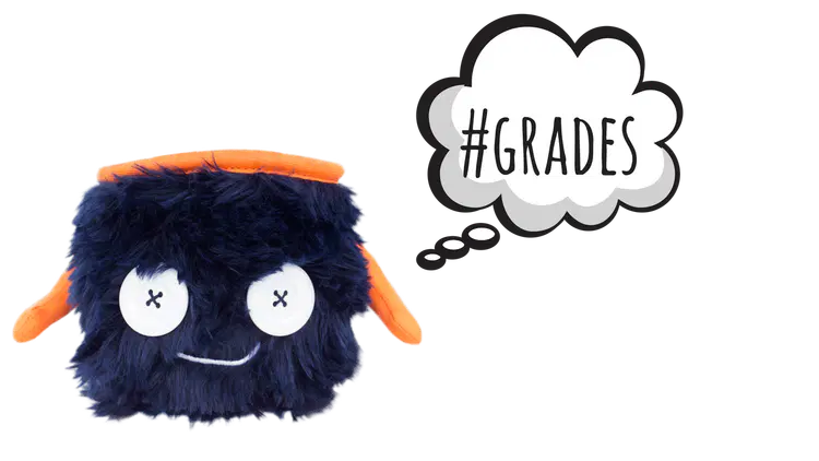 Everything You Need to Know About Rock Climbing Grades and Ratings