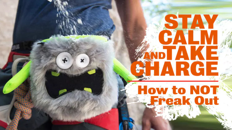 Stay Calm and Take Charge: How to NOT Freak Out