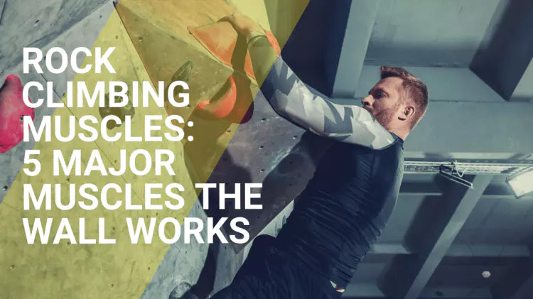Rock Climbing Muscles: 5 Major Muscles The Wall Works