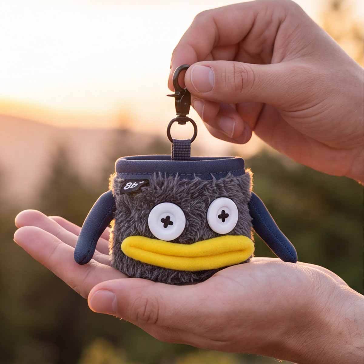 MINI ROY