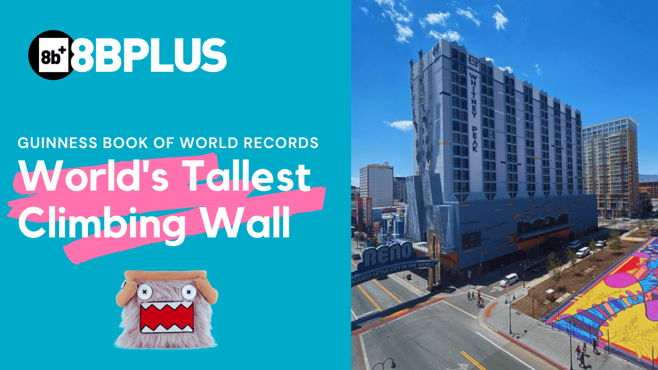 World’s Tallest Climbing Wall