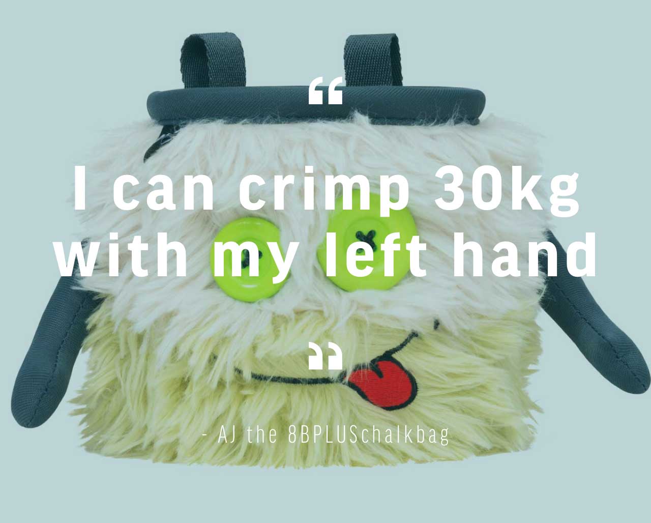 AJ Chalk Bag | Funny Climbing Chalk Bag by 8BPLUS