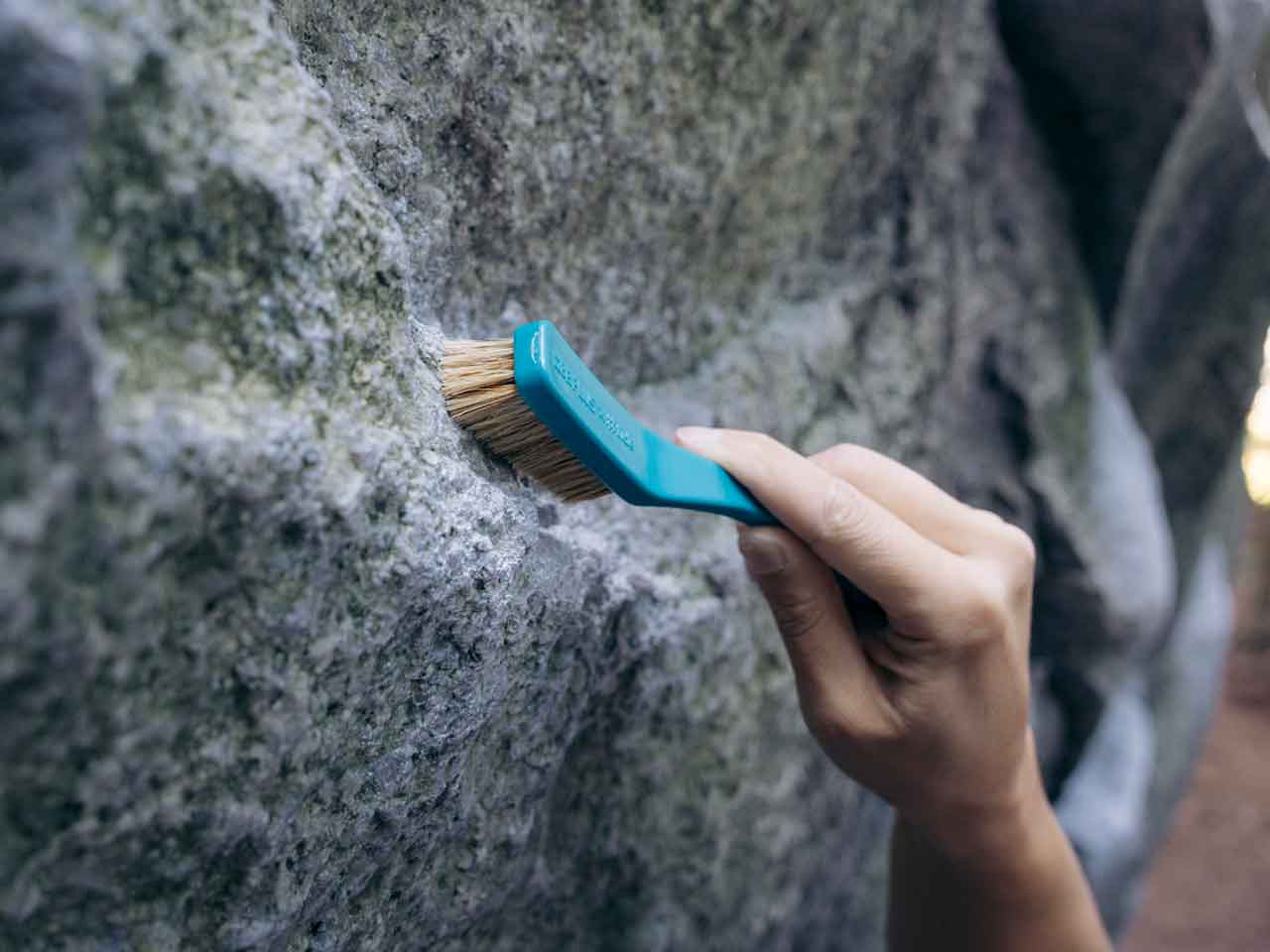 SAVE THE OCEAN - Climbing Brush – 8BPLUS